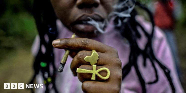 Kenyan court dismisses Rastafarians’ bid to legalise cannabis