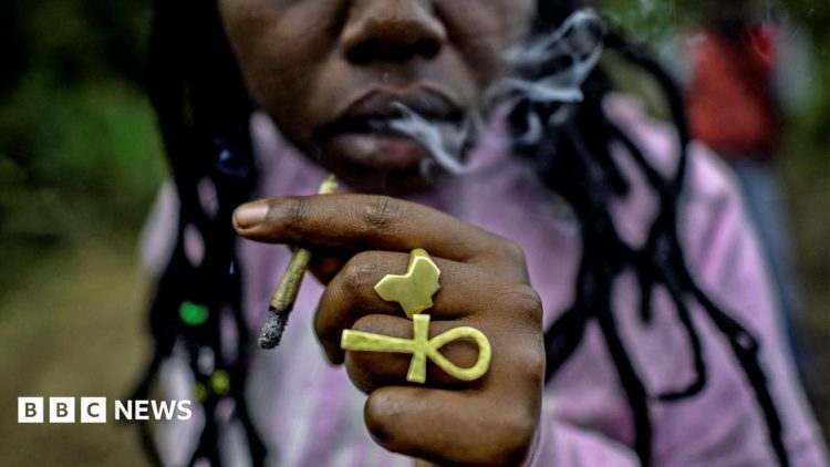Kenyan court dismisses Rastafarians’ bid to legalise cannabis