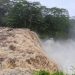Hawaii braces for impact from Lala
