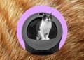 Whisker’s AI-powered litter robot thinks my cats swapped bodies