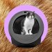 Whisker’s AI-powered litter robot thinks my cats swapped bodies