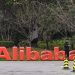 China’s Alibaba takes another swipe at America’s AI supremacy