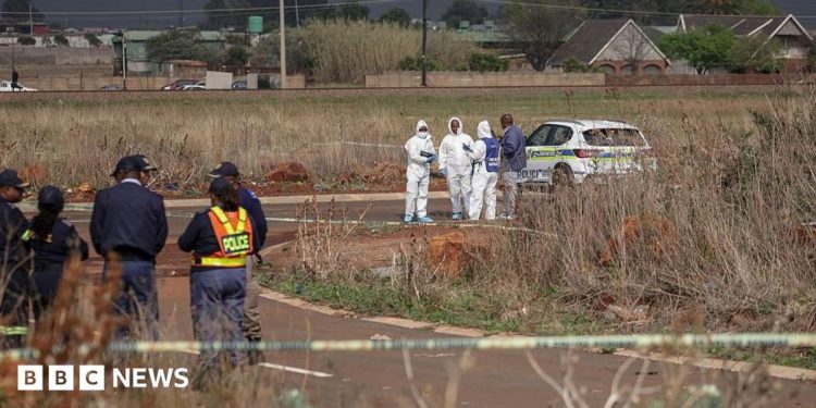 Kempton Park killings: Ninth woman’s body found in South Africa’s Dawn Park