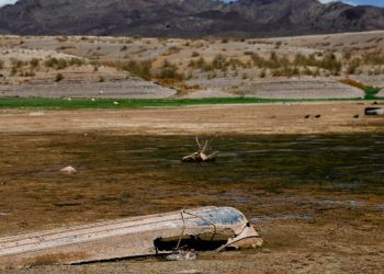 Climate scientists fired by Trump step in to fill U.S. report gap