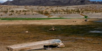 Climate scientists fired by Trump step in to fill U.S. report gap