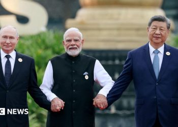 Brics summit 2026 Delhi: Iran war reshapes ties but exposes divides