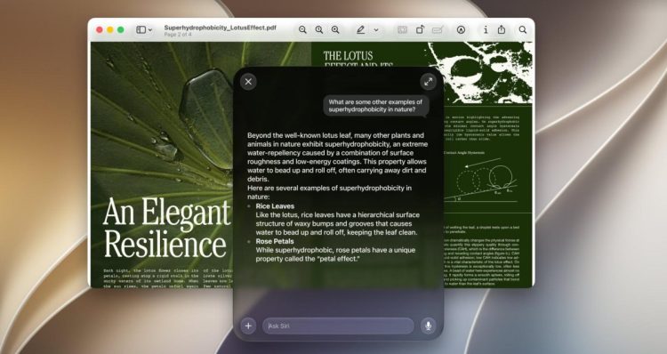 An open-source tool lets you delete 12GB of Apple Intelligence data on macOS